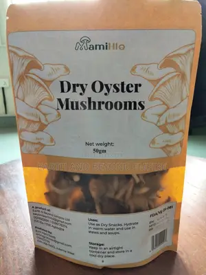 Dry Oyster Mushroom