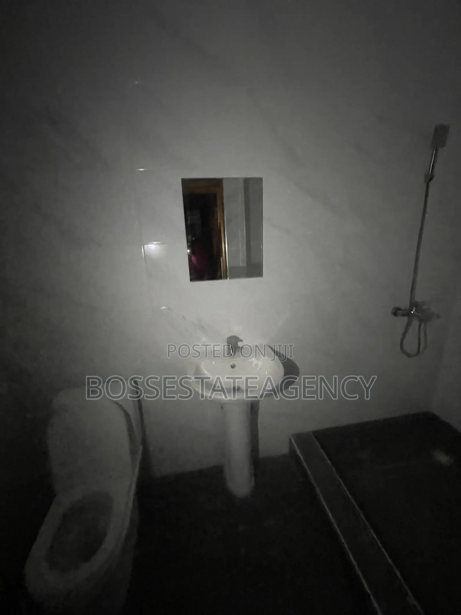 2bdrm Apartment in Sasaabi for rent