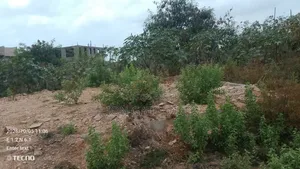 Registed Land at Comm 25