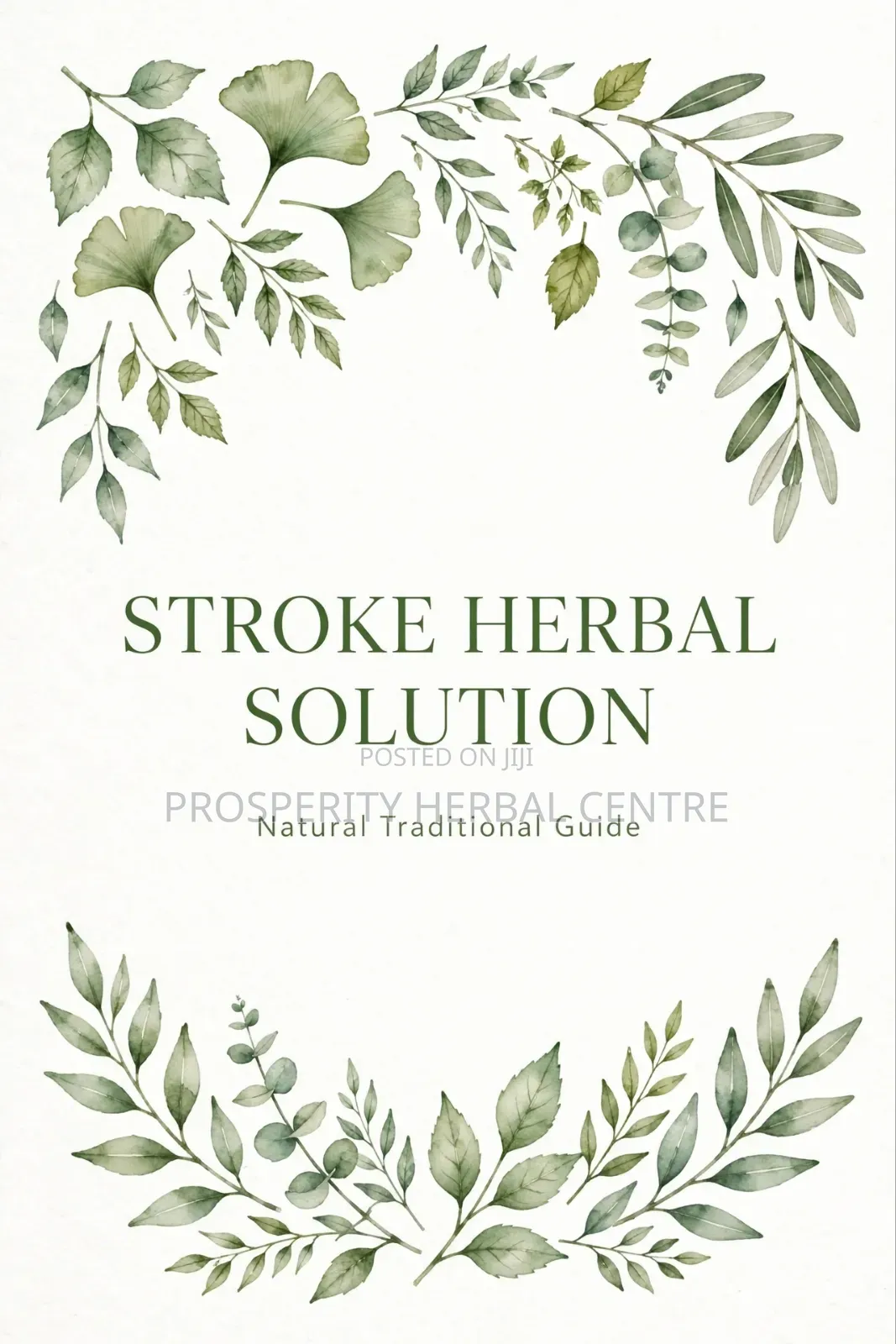 Herbal Solution to Stroke