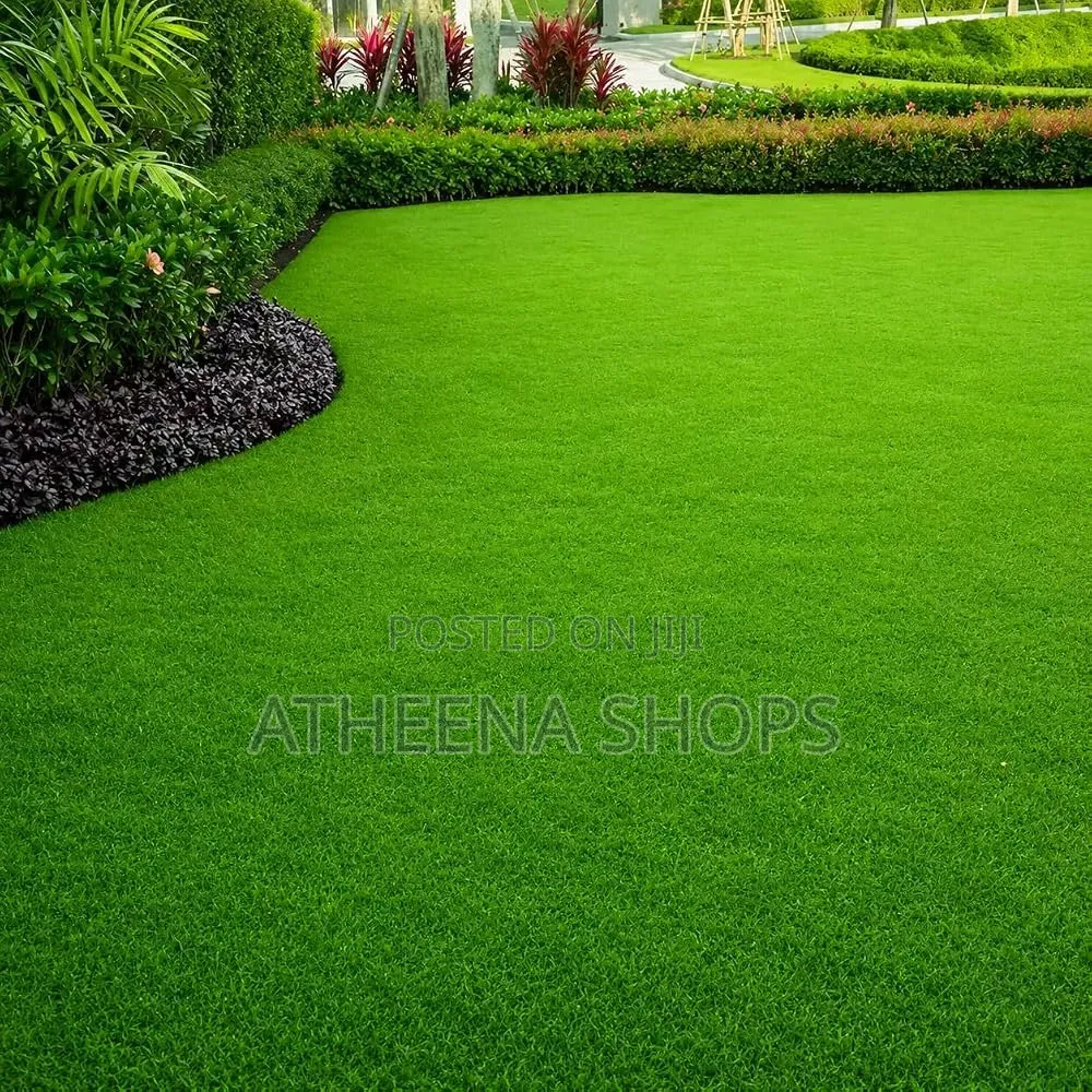 Carpet Grass Seeds (Bermuda)