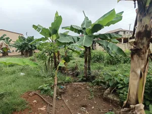 Plot for Sale Near Buokrom Estate Junction