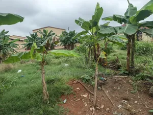 Plot for Sale Near Buokrom Estate Junction