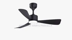 3Blade Ceiling Fan With Light & Remote Control