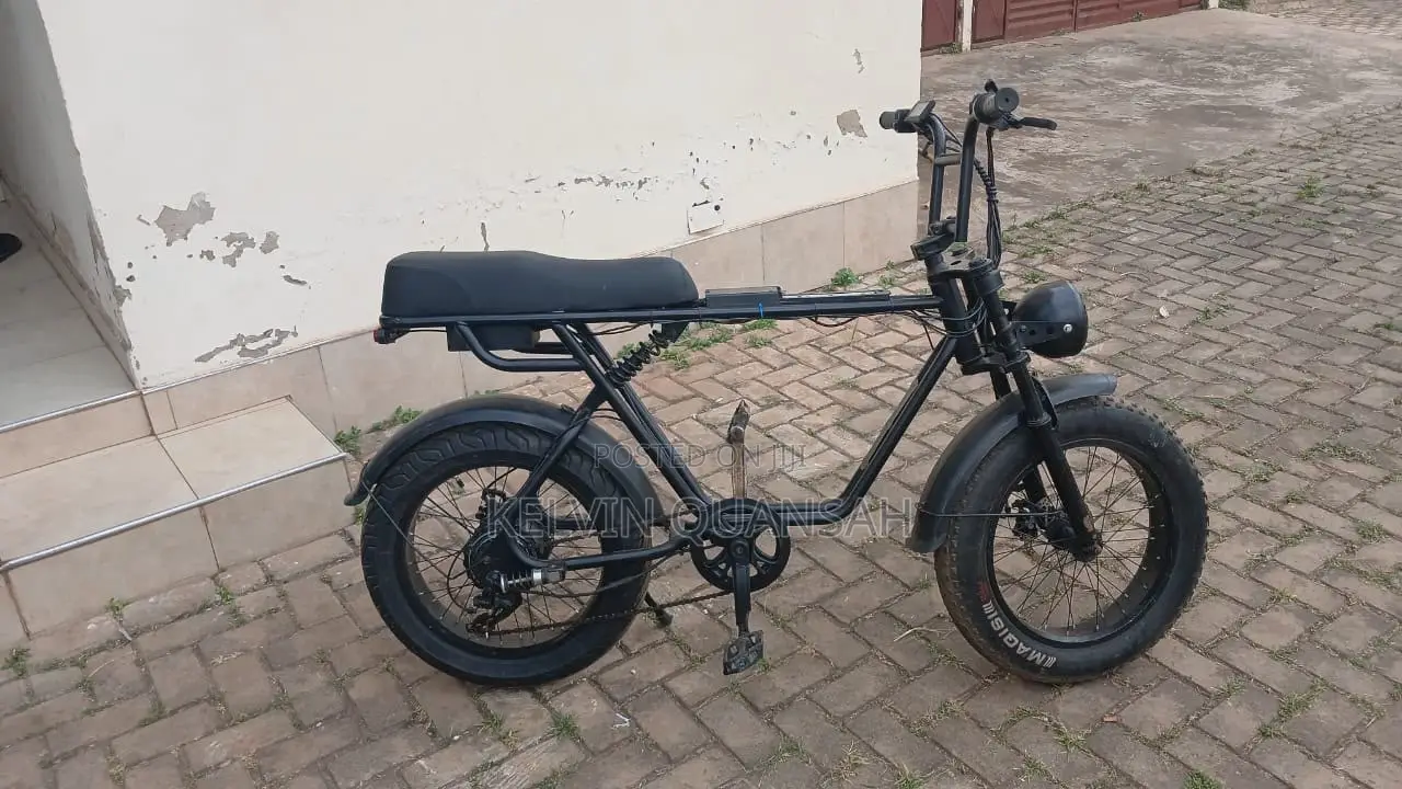 Electric Bike