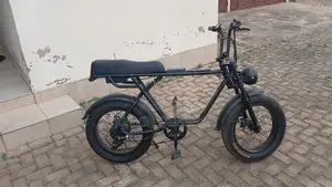 Electric Bike