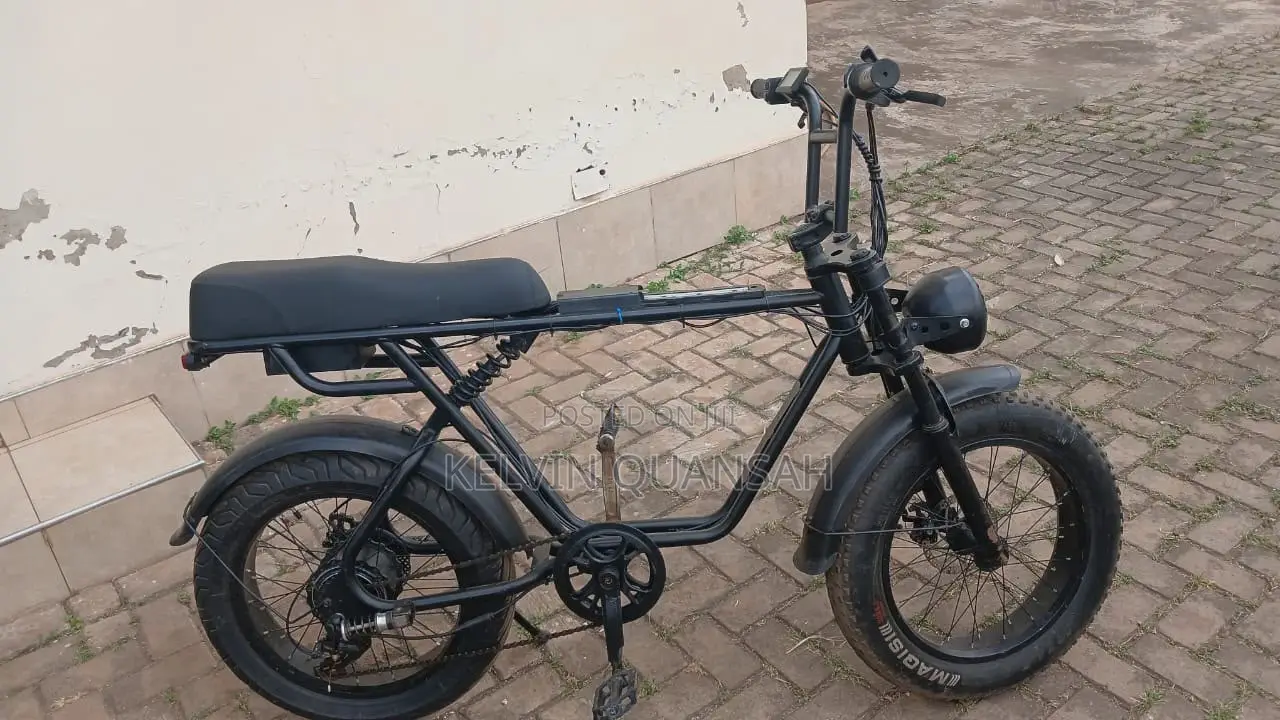 Electric Bike