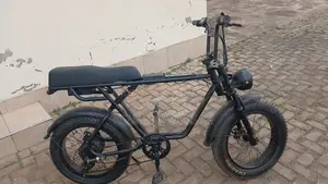 Electric Bike