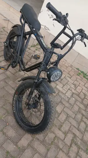 Electric Bike