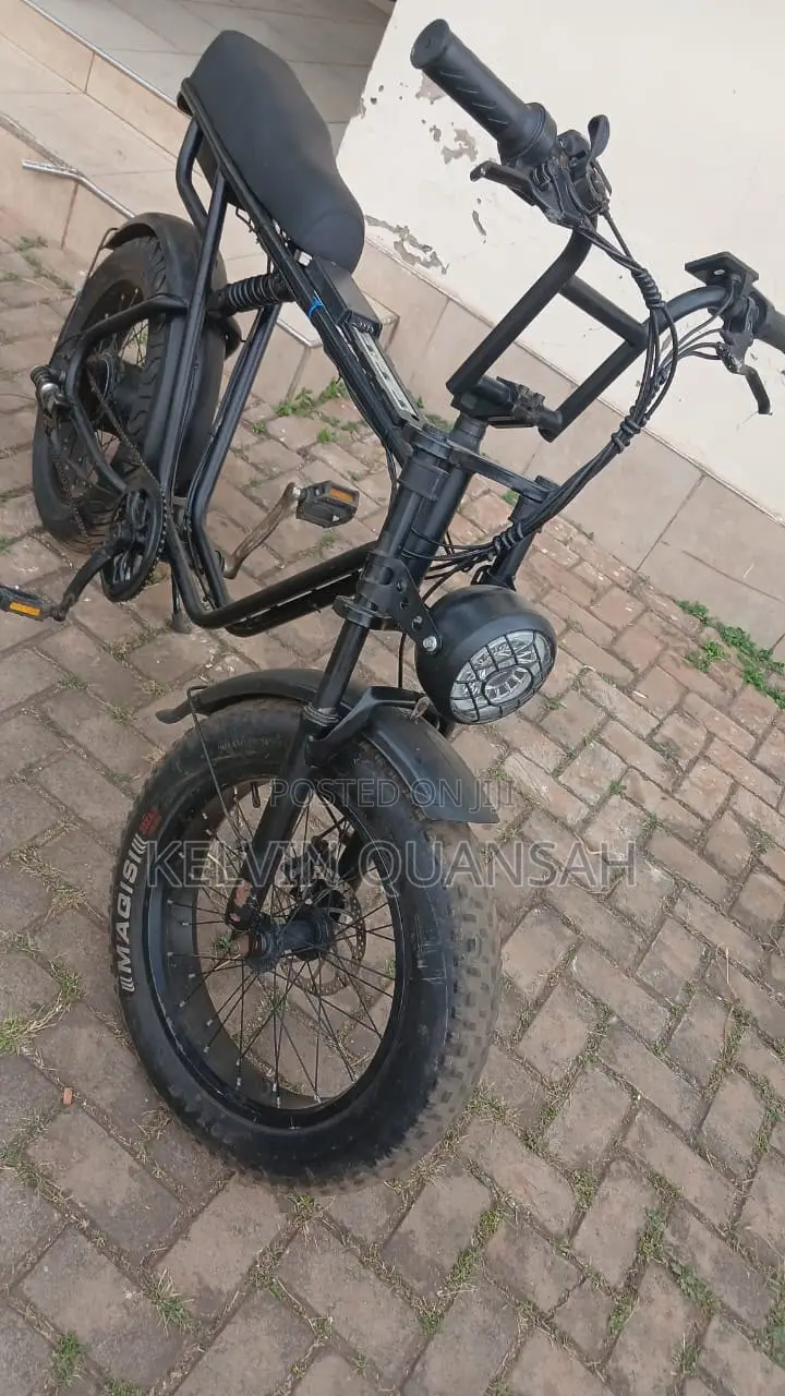 Electric Bike