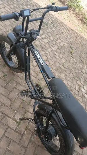 Electric Bike