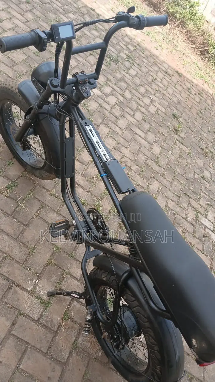 Electric Bike