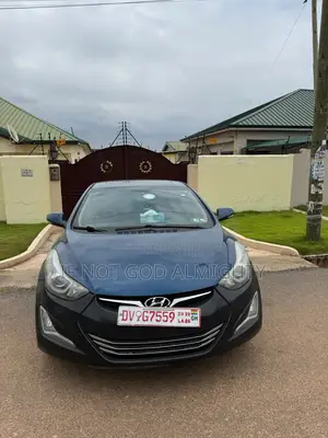 Hyundai Elantra 2014 Blue