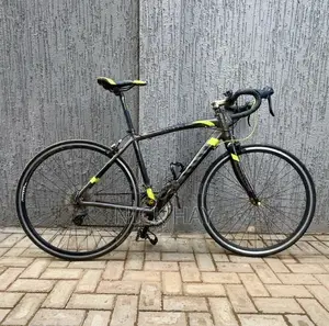 Totem Road Bike