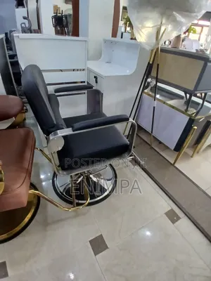 An Authentic and Classic Saloon Chair
