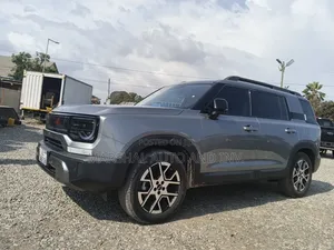 BAIC BJ30 2025 Gray