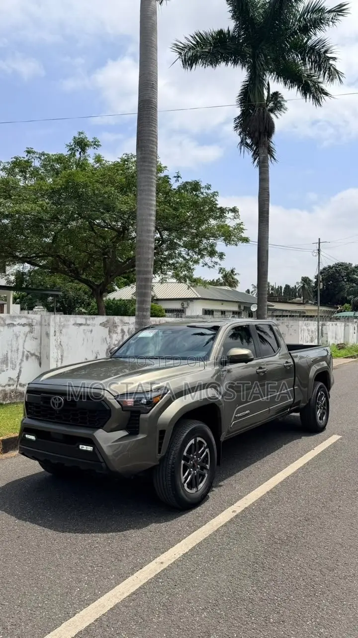 Toyota Tacoma 2024 Green
