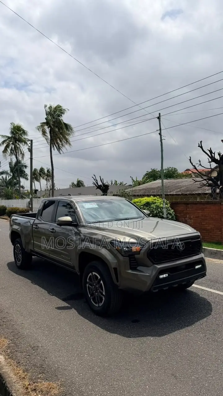 Toyota Tacoma 2024 Green