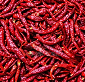 Chilli Dry Pepper