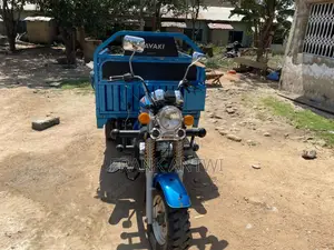 Tricycle 2025 Blue