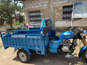 Tricycle 2025 Blue