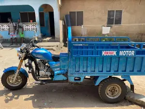 Tricycle 2025 Blue