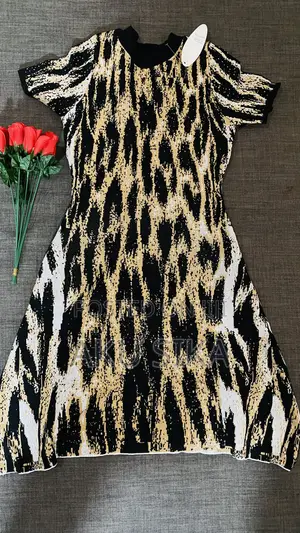 Ladies Dress