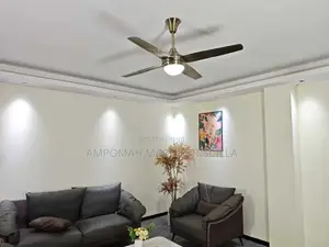 Metallic Art Ceiling Fan With Light & Remote Control
