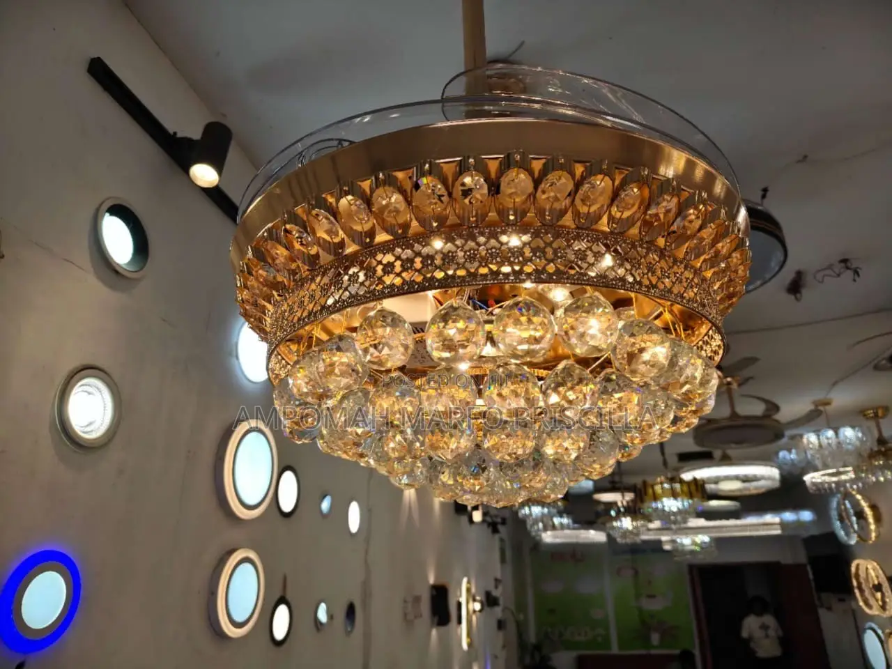 Luxury Modern Art Chandelier Light With Fan