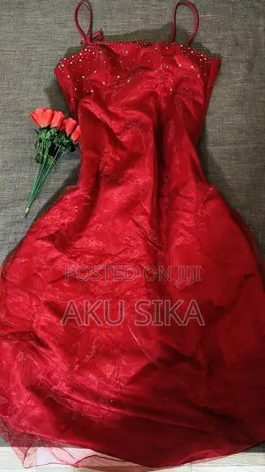 Ladies Dress
