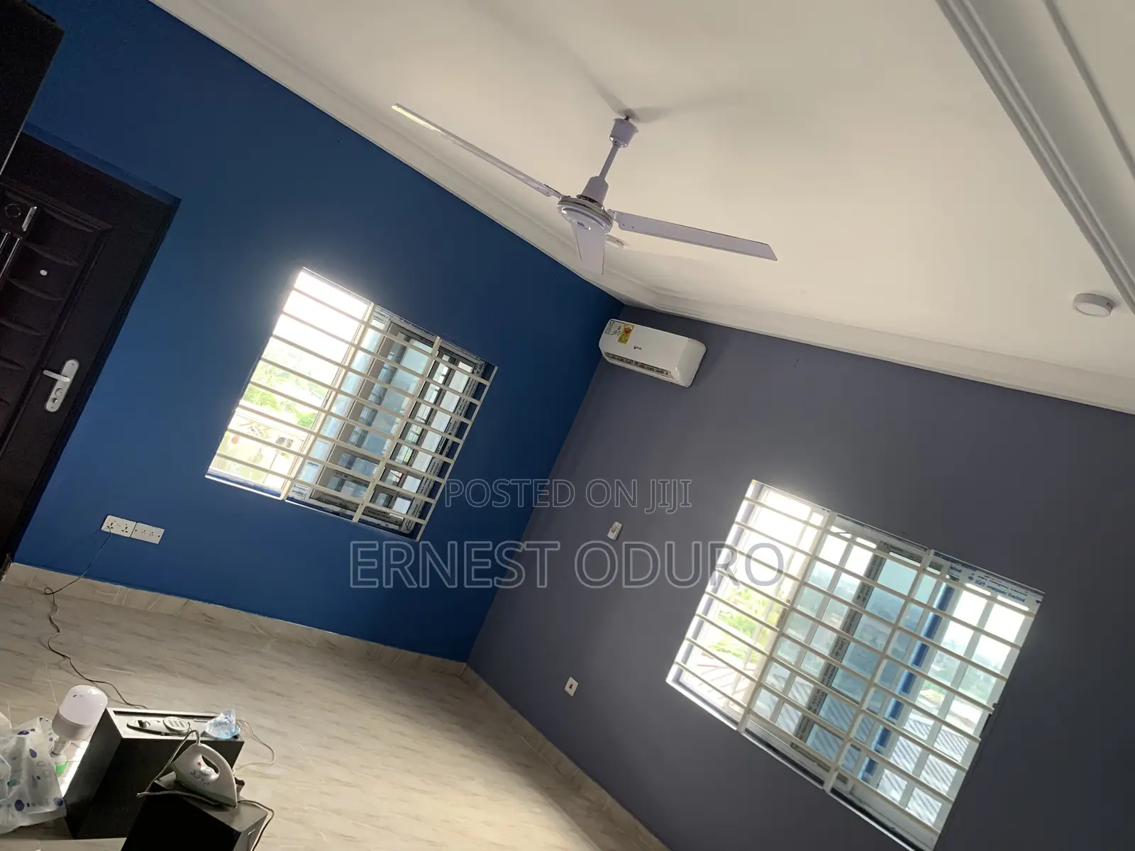 Professional Painter