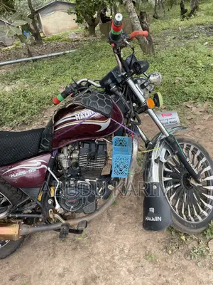 Haojin HJ125-99 2025 Brown