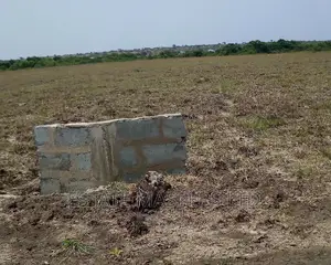 Lucrative Area Land