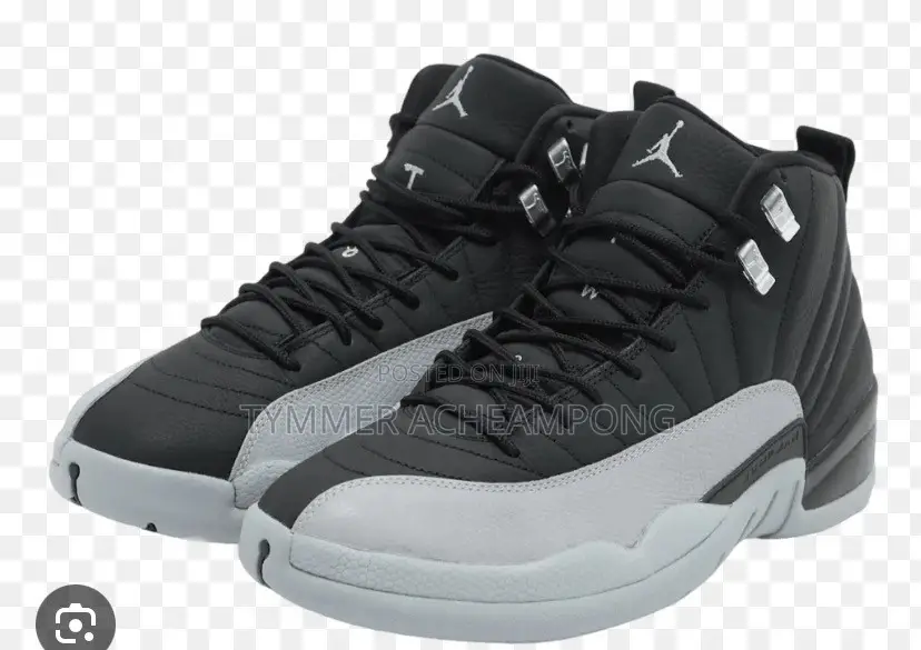 Jordan 12 Black and Ash