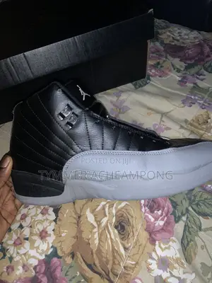 Jordan 12 Black and Ash