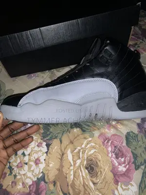 Jordan 12 Black and Ash