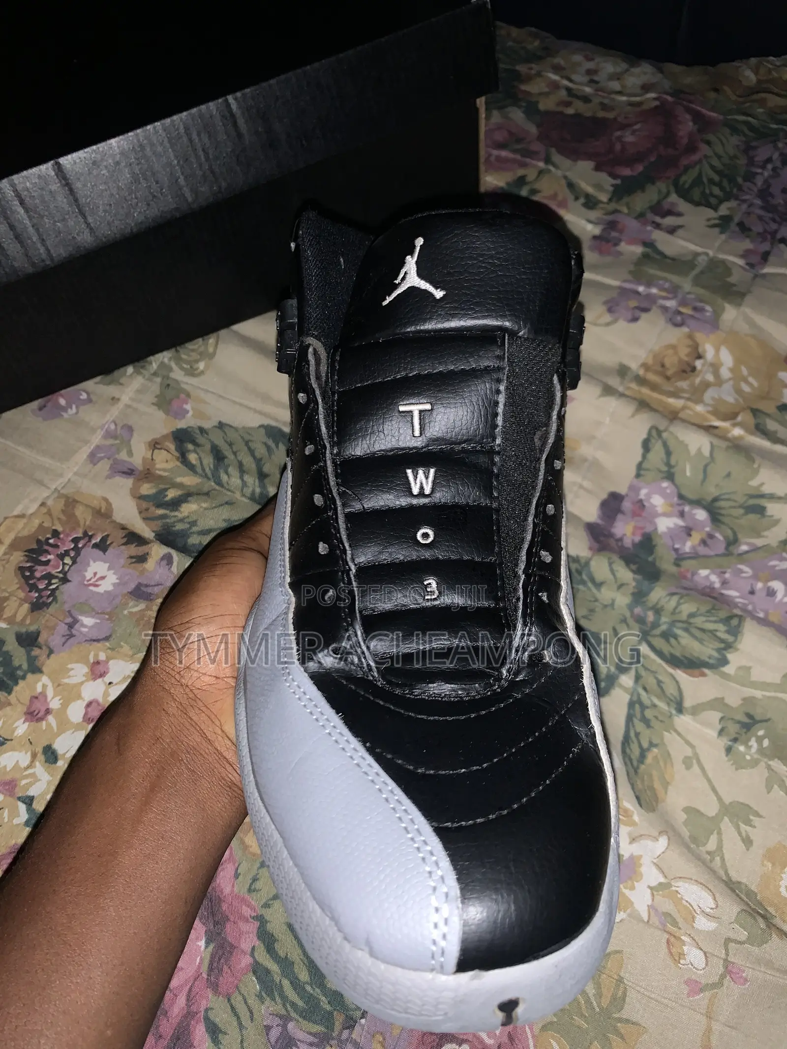 Jordan 12 Black and Ash