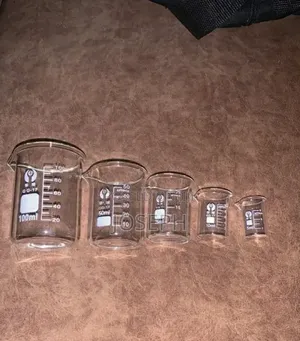 Glass Beaker 5pcs
