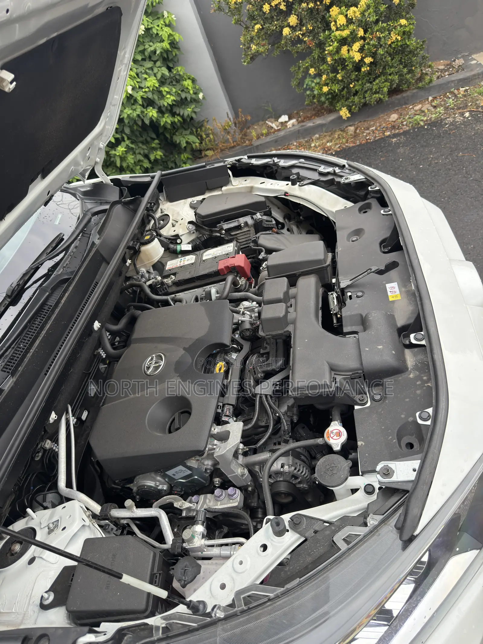 Toyota RAV4 XLE AWD 2023 White