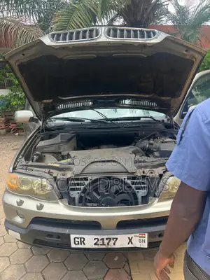 BMW X5 2005 Green