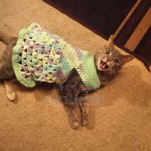 Pet Clothes
