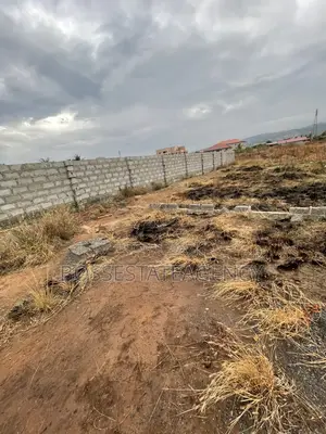 Genuine Plot of Land Going Out for Sale Very Close to Road Side