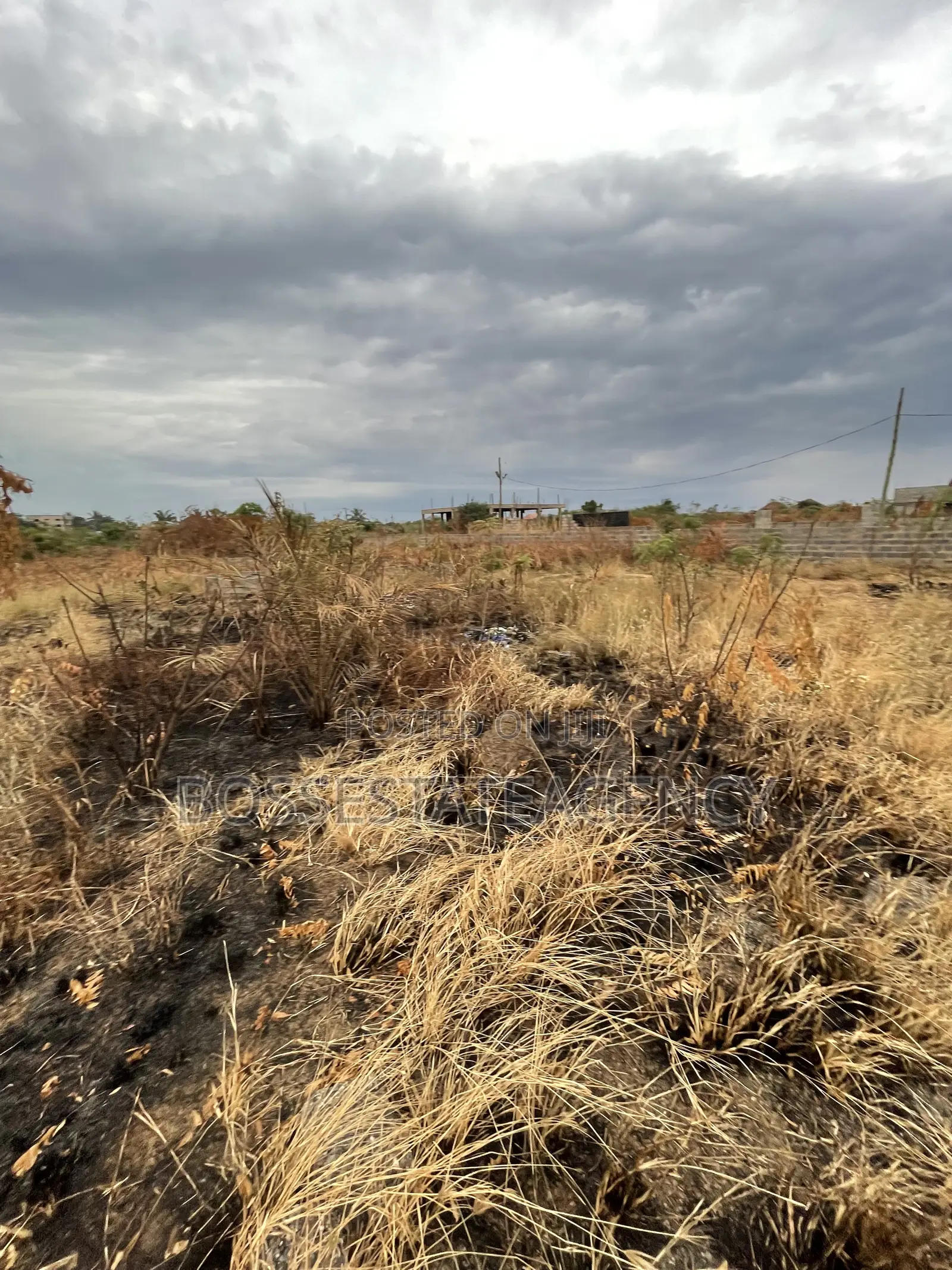 Genuine Plot of Land Going Out for Sale Very Close to Road Side