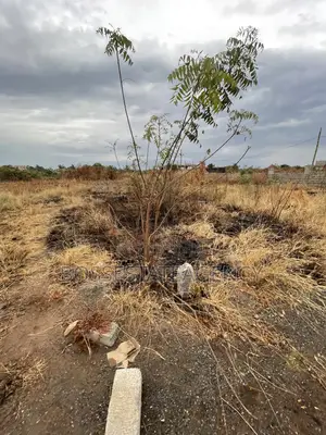 Genuine Plot of Land Going Out for Sale Very Close to Road Side