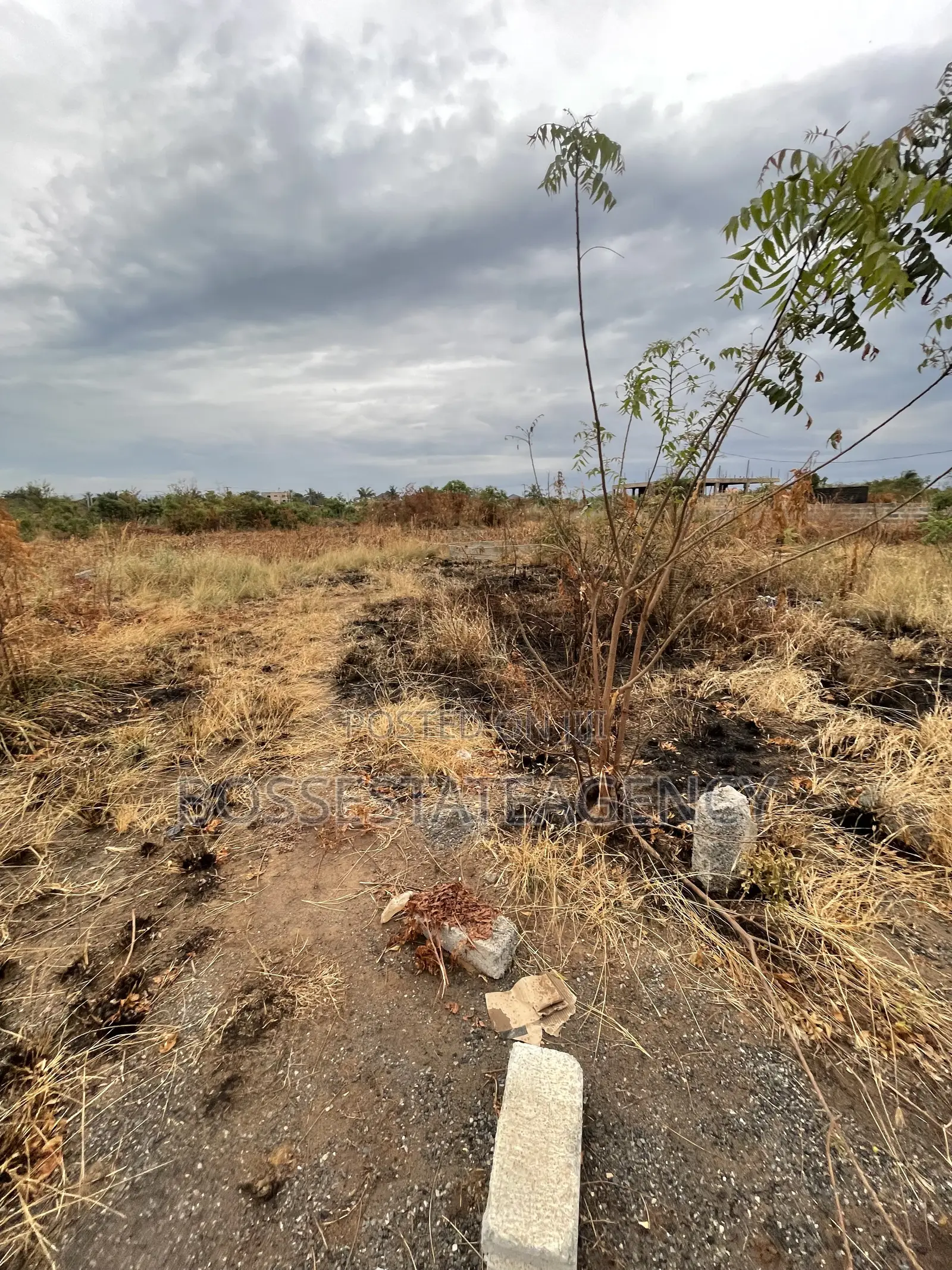 Genuine Plot of Land Going Out for Sale Very Close to Road Side