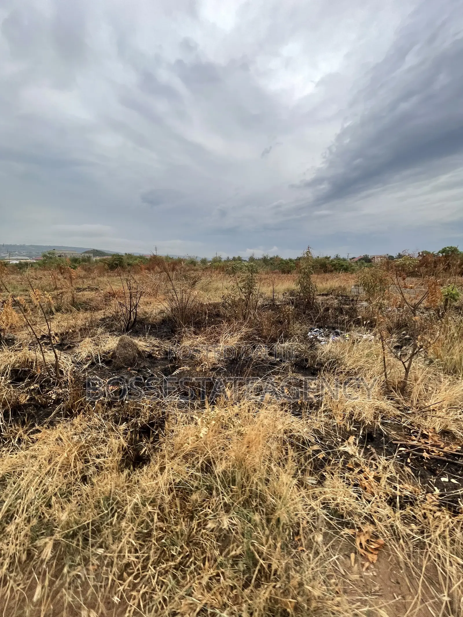 Genuine Plot of Land Going Out for Sale Very Close to Road Side