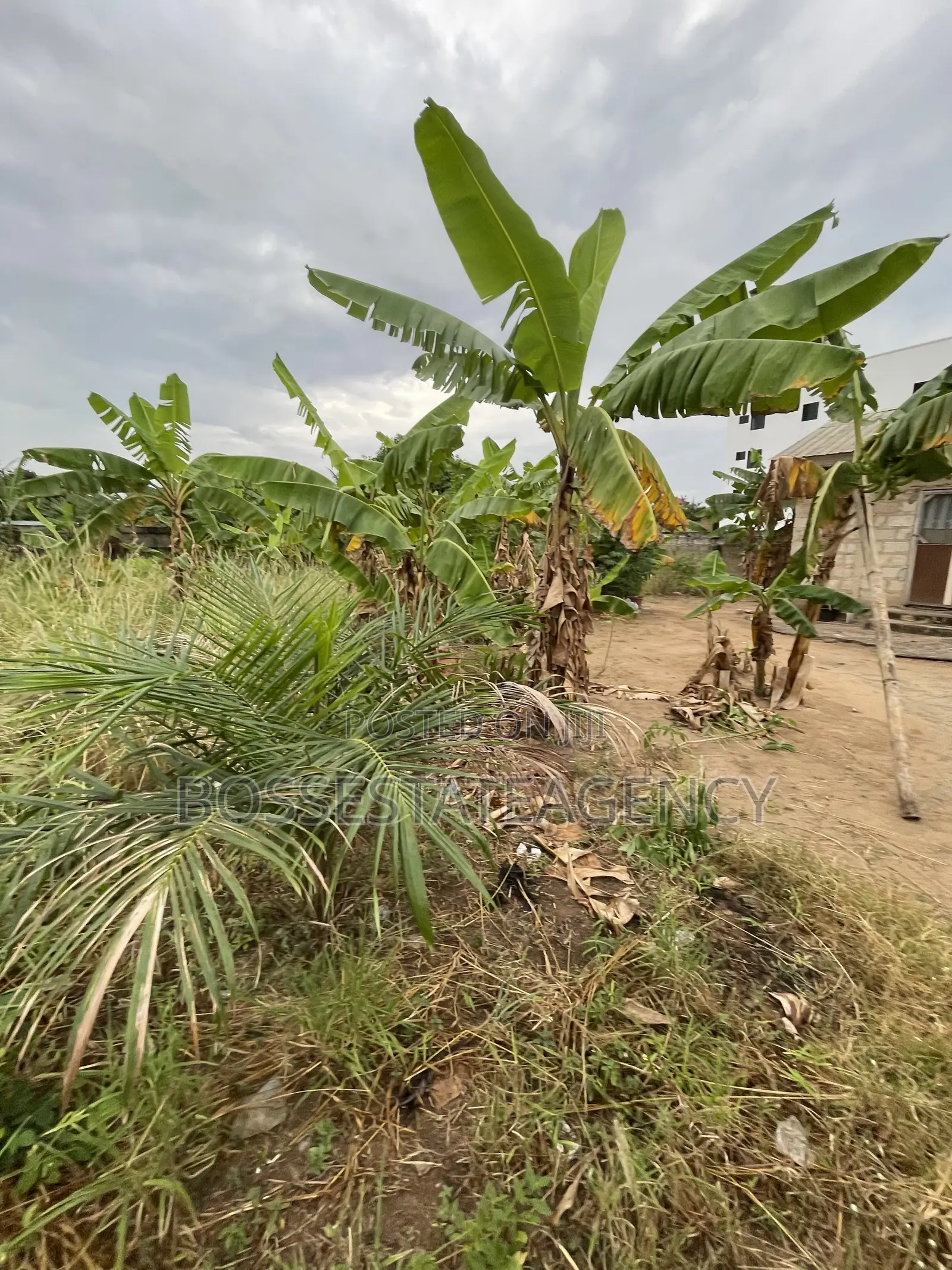 Full Plot of Land Going Out for Sale at Lomnava -Oyibi
