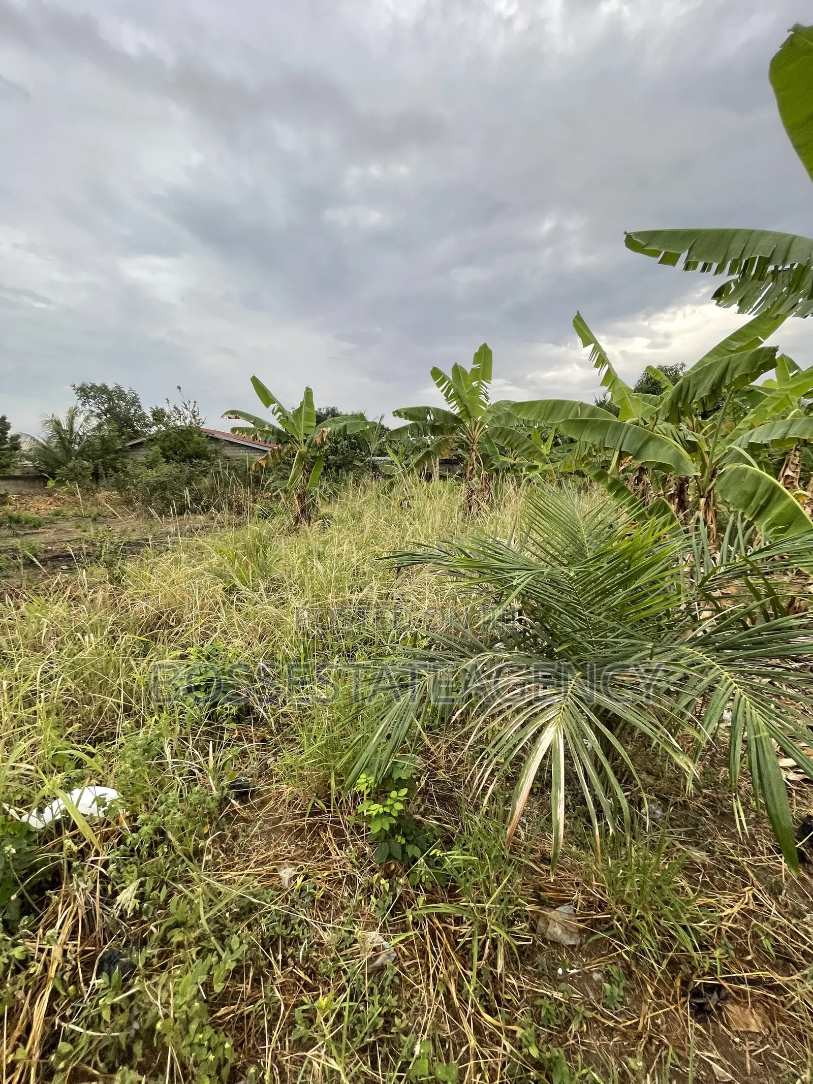 Full Plot of Land Going Out for Sale at Lomnava -Oyibi