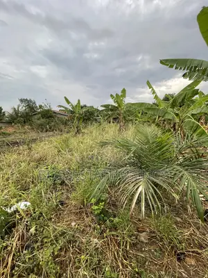 Full Plot of Land Going Out for Sale at Lomnava -Oyibi