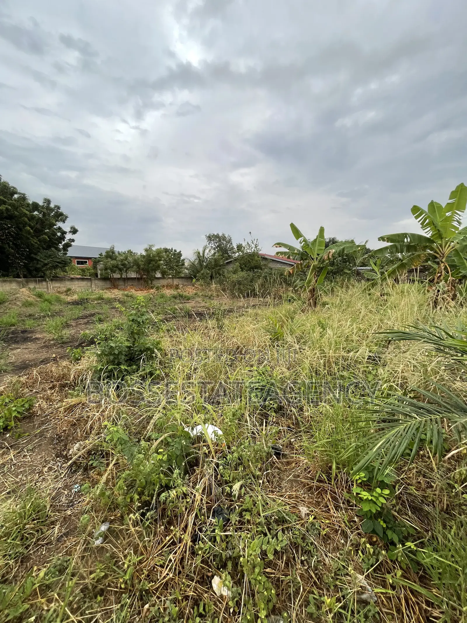 Full Plot of Land Going Out for Sale at Lomnava -Oyibi